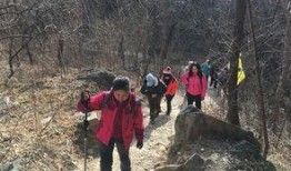 徒步逍遥在线观看,在线探索自然之美